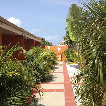 Carinas Studio Apartments Palm Beach Buitenkant foto